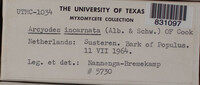 Image Associated With the Occurence